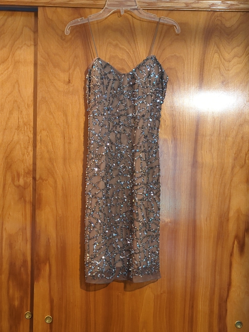 Scala Nude Midi Dress with Silver Sequin Detailing